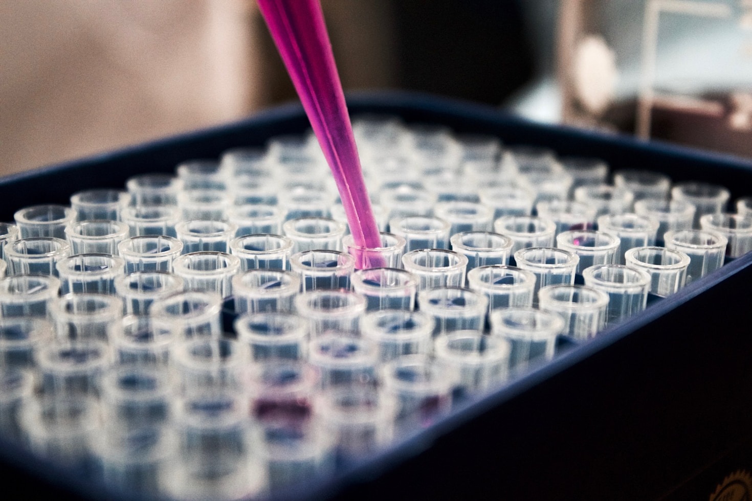 A história e evolução dos bioprocessos na indústria