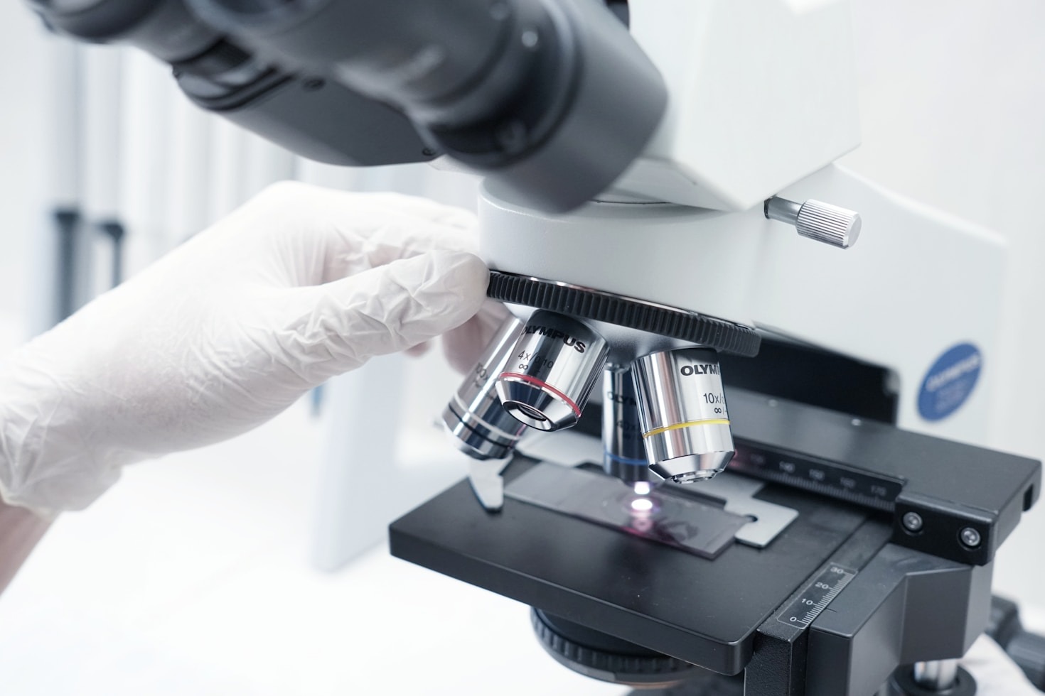 Biotecnologia e sustentabilidade: um futuro promissor