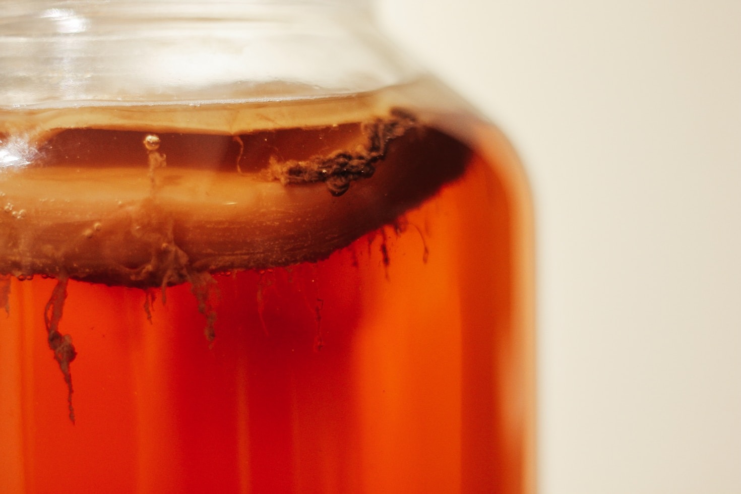 Dicas para melhorar o rendimento em processos fermentativos
